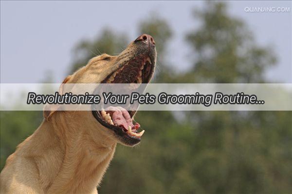 Revolutionize Your Pets Grooming Routine The Ultimate Shampoo for Cats  Dogs